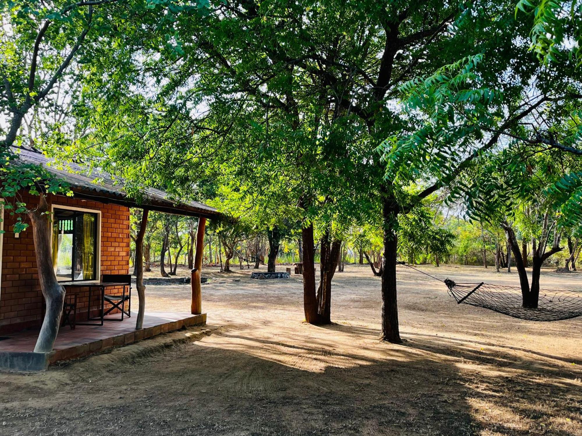 Funky Leopard Safari Lodge Bordering Yala National Park كاتاراغاما المظهر الخارجي الصورة