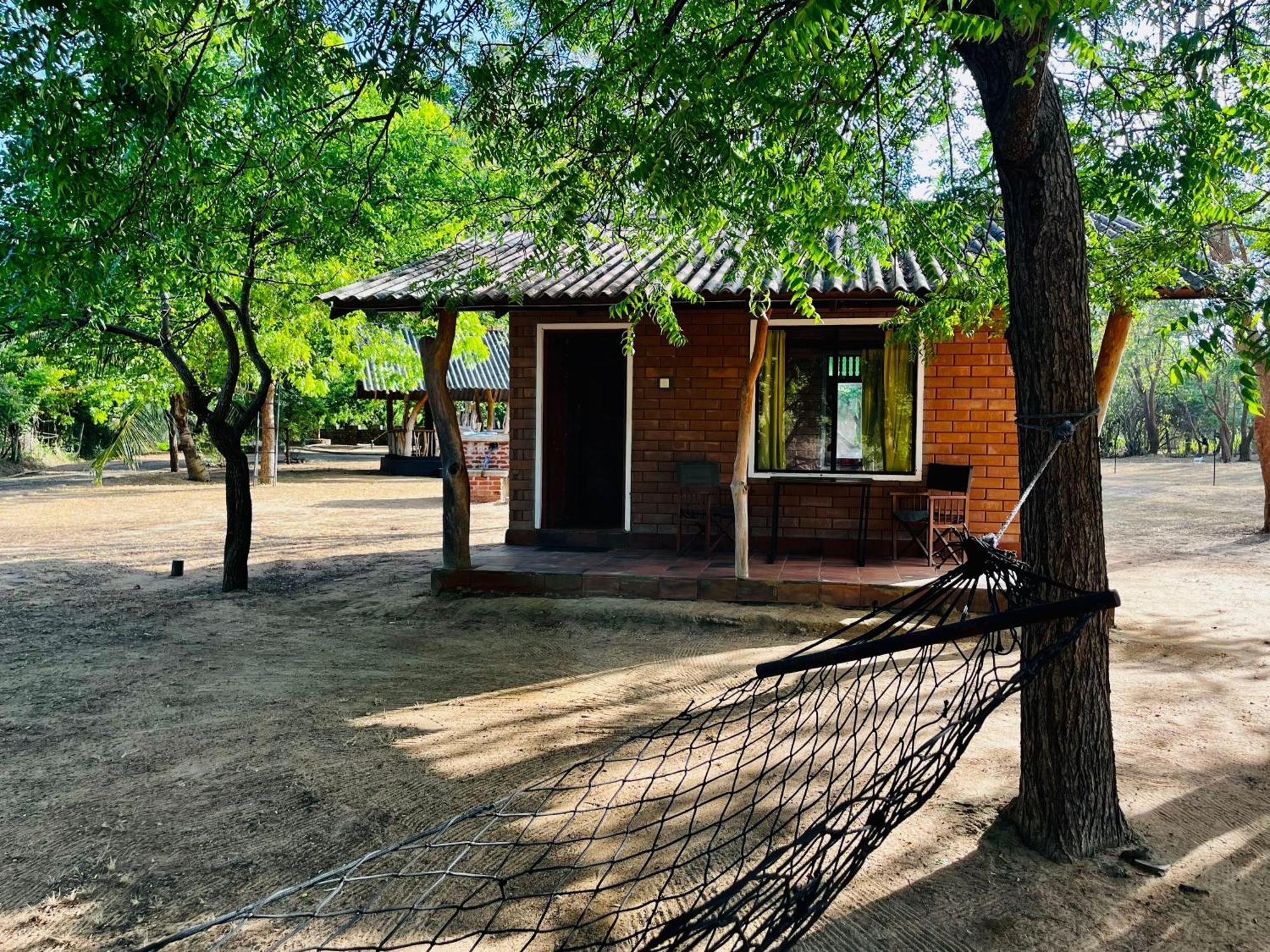 Funky Leopard Safari Lodge Bordering Yala National Park كاتاراغاما المظهر الخارجي الصورة